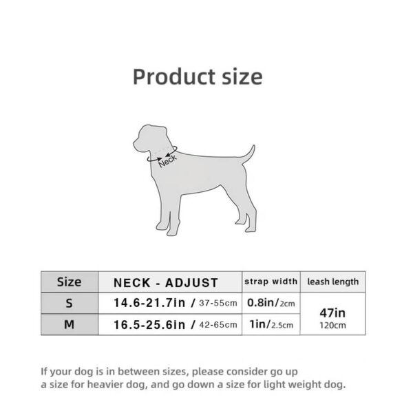 Dog Collar Size Guide